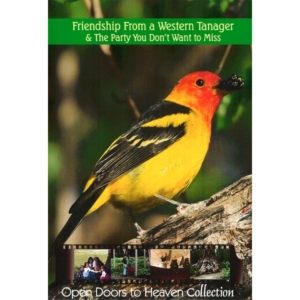Friendship From a Western Tanager
