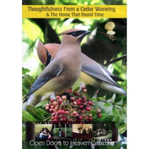 thoughtfulness from a cedar waxwing