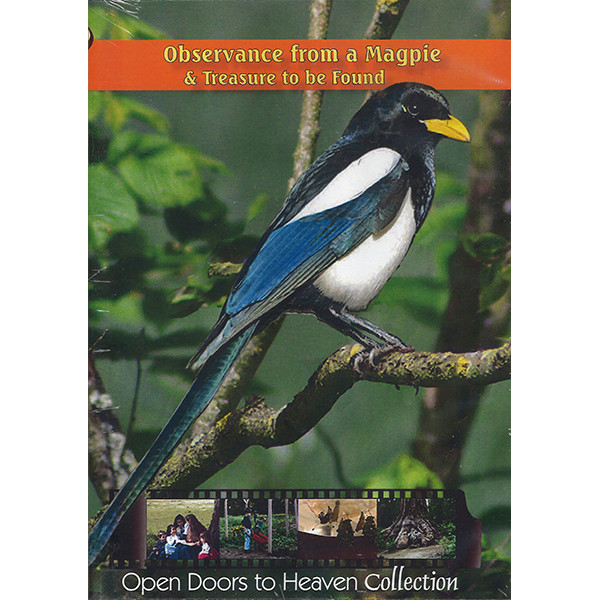Observance from a Magpie & Treasure to Be Found - DVD