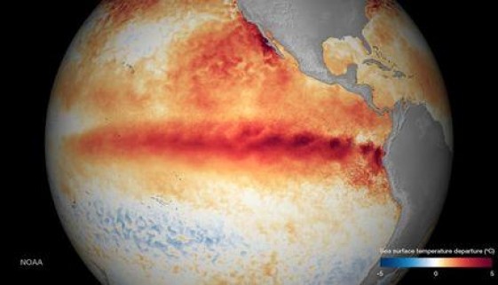 The sea surface temperature departure is seen in an undated NOAA image