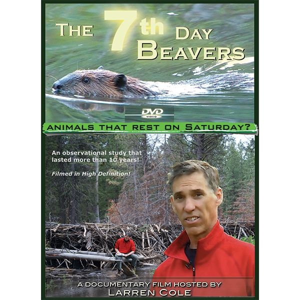 The 7th Day Beavers - DVD
