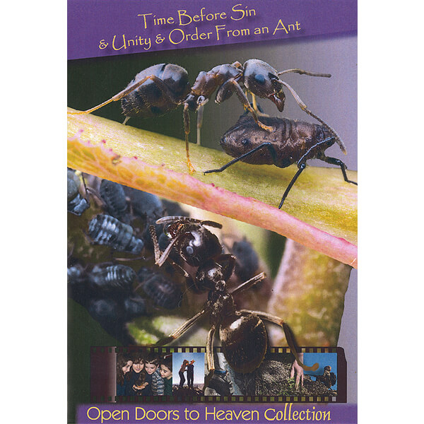 Time Before Sin & Unity & Order From an Ant - DVD