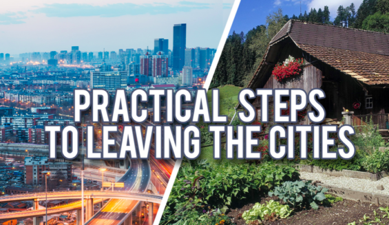 WHM LIVE Wed. April 8, 3 PM: Practical Steps to Leaving the Cities