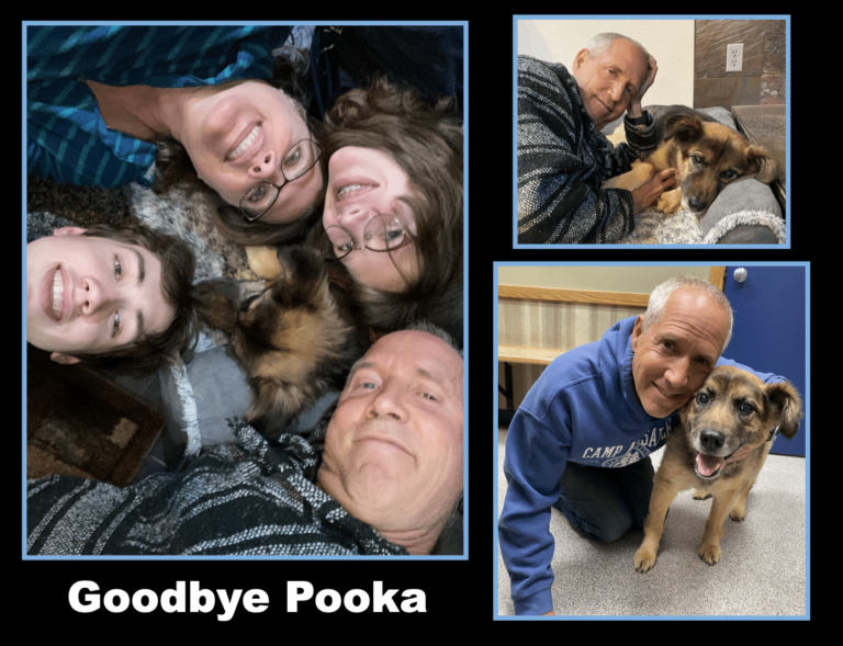 Goodbye Pooka (Loved Wohlberg Dog). Will My Pet Go to Heaven?